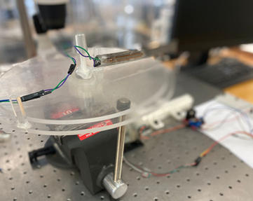 WhatsApp Image 2021-08-30 at 8.16.25 PM.jpeg