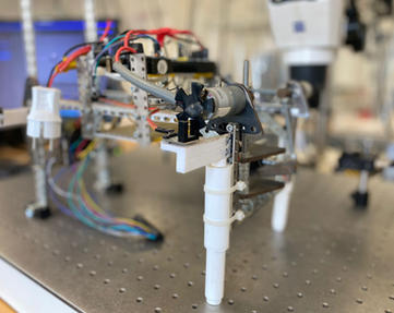 WhatsApp Image 2021-08-30 at 8.16.26 PM.jpeg